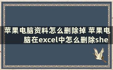 苹果电脑资料怎么删除掉 苹果电脑在excel中怎么删除sheet